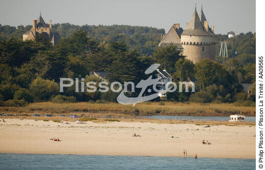 Le chateau de Suscinio. - © Philip Plisson / Plisson La Trinité / AA09565 - Photo Galleries - Sarzeau