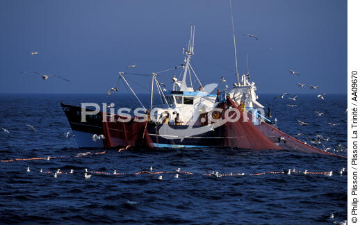 Pêche à la Sardine. - © Philip Plisson / Plisson La Trinité / AA09670 - Photo Galleries - Inshore fishing