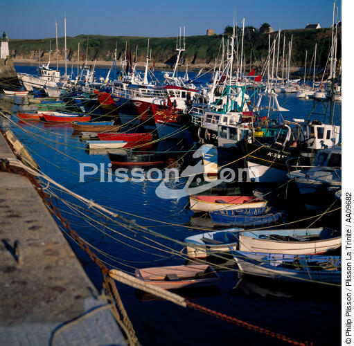 Port of Houat. - © Philip Plisson / Plisson La Trinité / AA09682 - Photo Galleries - Rowing boat