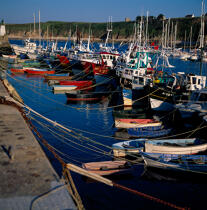 Port de Houat. © Philip Plisson / Plisson La Trinité / AA09682 - Nos reportages photos - Format carré
