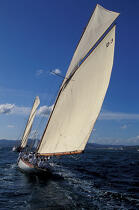 Tuiga. © Philip Plisson / Plisson La Trinité / AA09858 - Photo Galleries - Classic Yachting