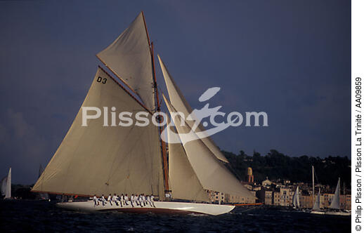Tuiga during the Nioulargue of 1993. - © Philip Plisson / Plisson La Trinité / AA09859 - Photo Galleries - Classic Yachting