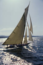 Tuiga. © Philip Plisson / Plisson La Trinité / AA09865 - Photo Galleries - Classic Yachting