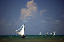 Jangadas en mer. © Philip Plisson / Plisson La Trinité / AA09946 - Nos reportages photos - Ceara