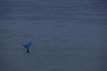 Jangada at sea. © Philip Plisson / Plisson La Trinité / AA09960 - Photo Galleries - Fisherman
