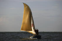Brazilian traditional boat. © Philip Plisson / Plisson La Trinité / AA09978 - Photo Galleries - Backlit