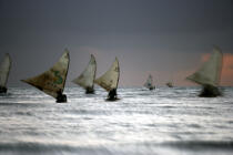 Jangadas en pêche. © Philip Plisson / Plisson La Trinité / AA09985 - Nos reportages photos - Etat [Brésil]