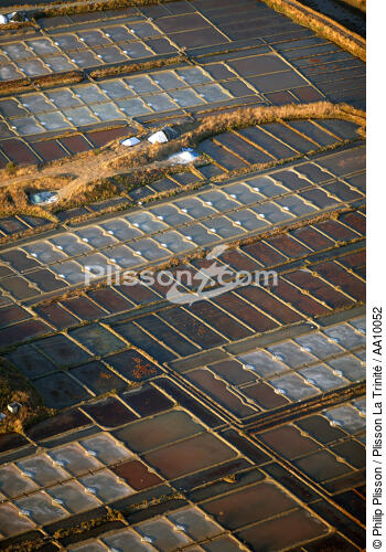 Marais salant de Guérande. - © Philip Plisson / Plisson La Trinité / AA10052 - Nos reportages photos - Saliculture