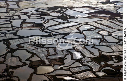 Salt marshes in Guérande. - © Philip Plisson / Plisson La Trinité / AA10053 - Photo Galleries - Interior landscape