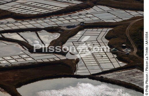 Salt marshes in Guérande. - © Philip Plisson / Plisson La Trinité / AA10054 - Photo Galleries - Site of Interest [44]
