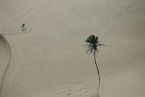 Dune de sable au Brésil. © Philip Plisson / Plisson La Trinité / AA10098 - Nos reportages photos - Etat [Brésil]