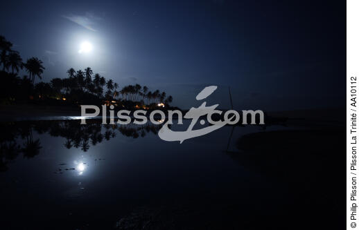A beach of Jericoacoara by night. - © Philip Plisson / Plisson La Trinité / AA10112 - Photo Galleries - Palm tree