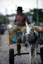 Dans les rues de Camocin. © Philip Plisson / Plisson La Trinité / AA10134 - Nos reportages photos - Mammifère