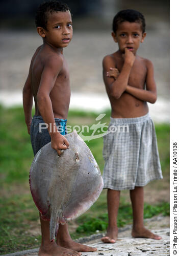In the streets of Camocin. - © Philip Plisson / Plisson La Trinité / AA10136 - Photo Galleries - Fish
