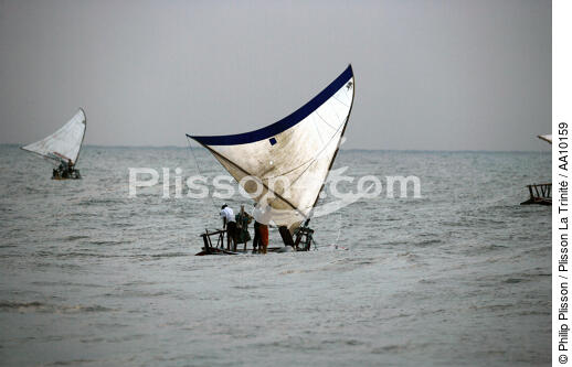 Fishing on board Jangadas. - © Philip Plisson / Plisson La Trinité / AA10159 - Photo Galleries - Jangadas from Brazil