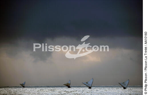 Jangadas en mer. - © Philip Plisson / Plisson La Trinité / AA10160 - Nos reportages photos - Brésil