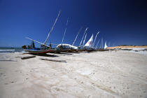 Jangadas on a beach of Ceara. © Philip Plisson / Plisson La Trinité / AA10170 - Photo Galleries - Jangada