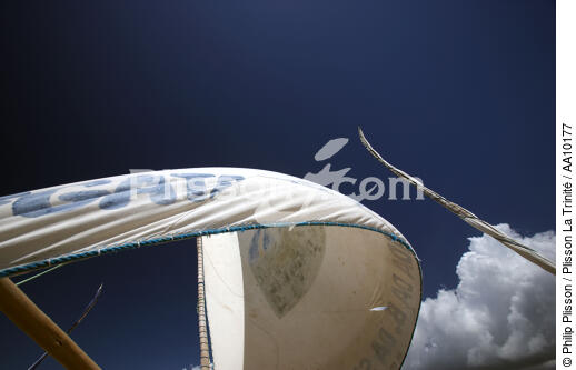 Aerofoil of a Jangada. - © Philip Plisson / Plisson La Trinité / AA10177 - Photo Galleries - Jangadas from Brazil