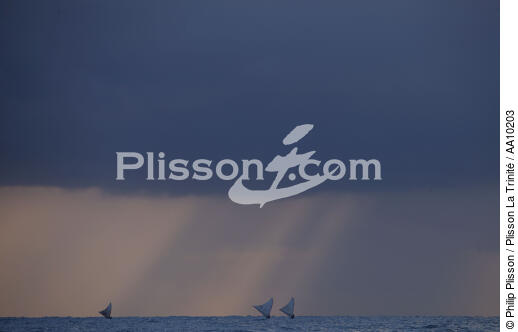 Stormy sky on Caponga. - © Philip Plisson / Plisson La Trinité / AA10203 - Photo Galleries - Jangadas from Brazil