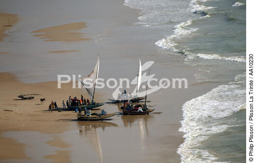Jangadas on a beach of Ceara. - © Philip Plisson / Plisson La Trinité / AA10230 - Photo Galleries - Jangada