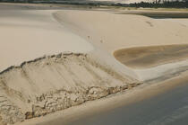 Paysage littoral du Ceara. © Philip Plisson / Plisson La Trinité / AA10246 - Nos reportages photos - Dune