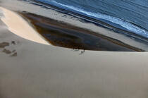 Dune de sable à Jericoacoara. © Philip Plisson / Plisson La Trinité / AA10259 - Nos reportages photos - Brésil