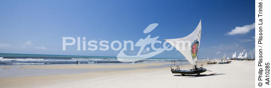 Jangadas sur une plage brésilienne. - © Philip Plisson / Plisson La Trinité / AA10285 - Nos reportages photos - Jangadas do Brazil