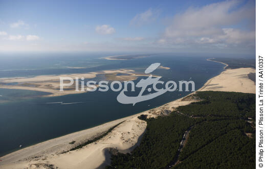 The Arguin Sand Bank. - © Philip Plisson / Plisson La Trinité / AA10337 - Photo Galleries - Gironde