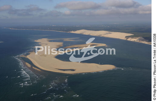 Le Banc d'Arguin et la Dune du Pilat. - © Philip Plisson / Plisson La Trinité / AA10338 - Nos reportages photos - Pilat [Dune du]