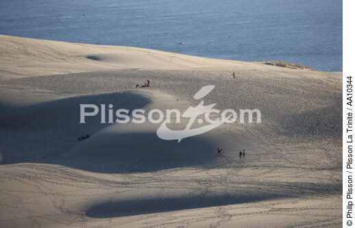Promenade sur la Dune du Pilat. - © Philip Plisson / Plisson La Trinité / AA10344 - Nos reportages photos - Pilat [Dune du]