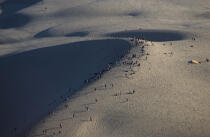 Promenade sur la Dune du Pilat. © Philip Plisson / Plisson La Trinité / AA10347 - Nos reportages photos - Dune