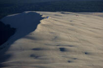 Parapentes sur la Dune du Pilat. © Philip Plisson / Plisson La Trinité / AA10348 - Nos reportages photos - Sport non nautique