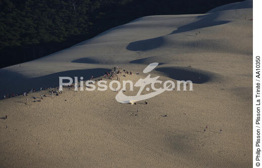 Promenade sur la Dune du Pilat. - © Philip Plisson / Plisson La Trinité / AA10350 - Nos reportages photos - Pilat [Dune du]