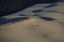 Promenade sur la Dune du Pilat. © Philip Plisson / Plisson La Trinité / AA10350 - Nos reportages photos - Pilat [Dune du]