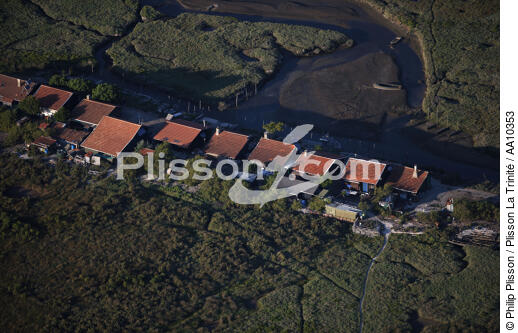 Habitations dans le bassin d'Arcachon. - © Philip Plisson / Plisson La Trinité / AA10353 - Nos reportages photos - Toit