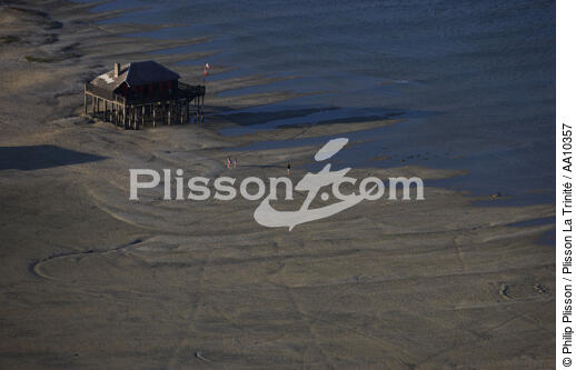 Maison sur pilotis sur l'île aux Oiseaux. - © Philip Plisson / Plisson La Trinité / AA10357 - Nos reportages photos - Arcachon [Bassin d']