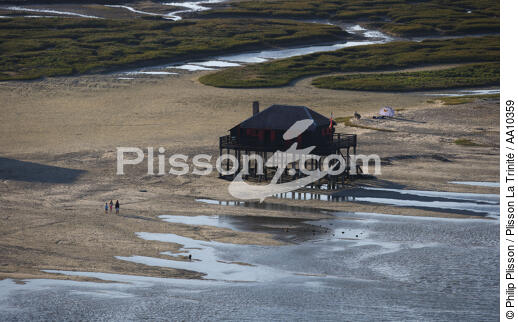 House on piles on the island of Oiseaux. - © Philip Plisson / Plisson La Trinité / AA10359 - Photo Galleries - Roof