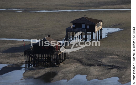 Maisons sur pilotis sur l'île aux Oiseaux. - © Philip Plisson / Plisson La Trinité / AA10361 - Nos reportages photos - Pavillon