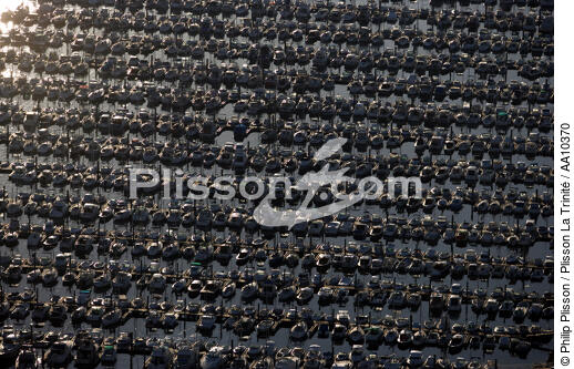 Port de plaisance dans le Bassin d'Arcachon. - © Philip Plisson / Plisson La Trinité / AA10370 - Nos reportages photos - Arcachon [Bassin d']