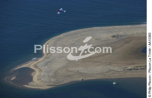Avion en survol du Banc d'Arguin. - © Philip Plisson / Plisson La Trinité / AA10383 - Nos reportages photos - Arcachon [Bassin d']