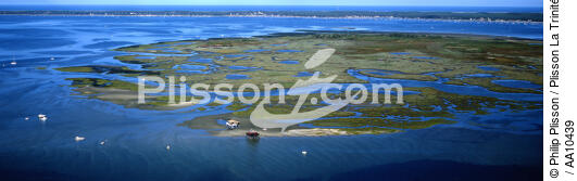 L'île aux oiseaux dans le Bassin d'Arcachon. - © Philip Plisson / Plisson La Trinité / AA10439 - Nos reportages photos - Arcachon [Bassin d']