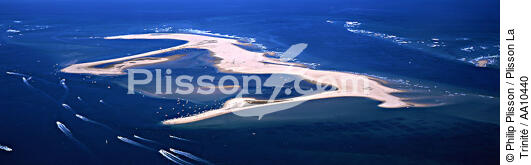 Le Banc d'Arguin. - © Philip Plisson / Plisson La Trinité / AA10440 - Nos reportages photos - Arcachon [Bassin d']