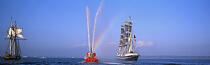Gathering of Brest 1996. © Philip Plisson / Plisson La Trinité / AA10452 - Photo Galleries - Tall ships