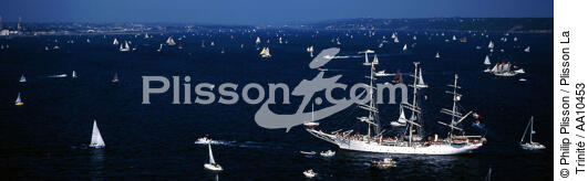 Gathering of Brest 1996. - © Philip Plisson / Plisson La Trinité / AA10453 - Photo Galleries - Fleet