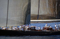Shamrock V - Classic Week 2005. © Philip Plisson / Plisson La Trinité / AA10457 - Photo Galleries - J Class yacht