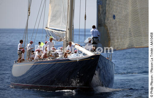 Shamrock V - Classic Week 2005. - © Philip Plisson / Plisson La Trinité / AA10458 - Photo Galleries - Classic Yachting