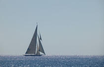 Cambria - Classic Week 2005. © Philip Plisson / Plisson La Trinité / AA10461 - Photo Galleries - Classic Yachting