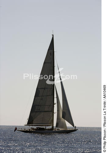 Ranger - Classic Week 2005. - © Philip Plisson / Plisson La Trinité / AA10469 - Photo Galleries - Classic Yachting