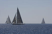 Classic Week 2005. © Philip Plisson / Plisson La Trinité / AA10470 - Photo Galleries - Classic Yachting