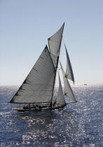 Nan of Fife - Classic Week 2005. © Philip Plisson / Plisson La Trinité / AA10478 - Photo Galleries - Classic Yachting